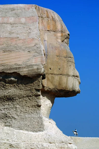 Planalto Sphinx Giza Cairo Egito — Fotografia de Stock