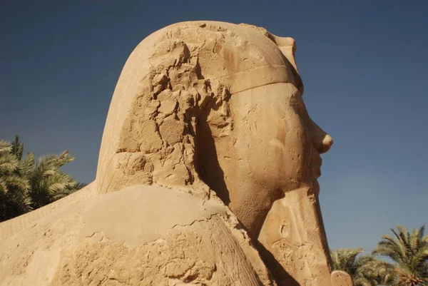 Starověká Egyptská Sfinga Poušti — Stock fotografie