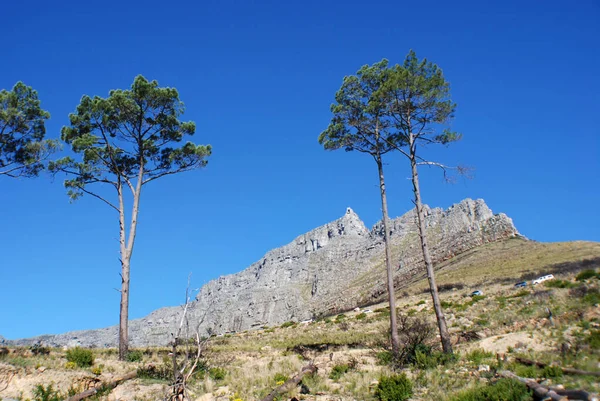 Ciudad Del Cabo Paisaje Table Mountain —  Fotos de Stock