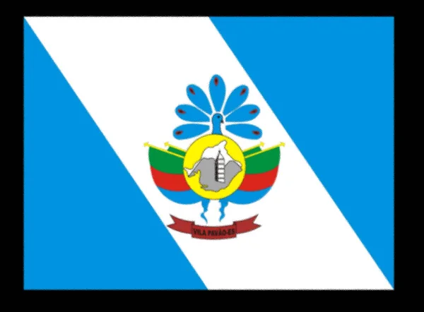 Bandeira Vila Pavao Textura Fundo — Fotografia de Stock