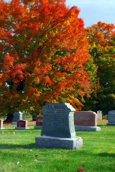 Stagione Autunnale Flora Autunnale Cimitero — Foto Stock