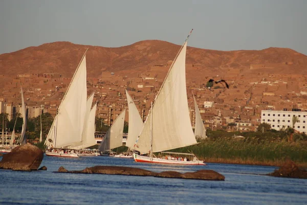 Aswan Egypt Nov Felucca于2010年11月25日在埃及阿斯旺附近的尼罗河上航行 — 图库照片