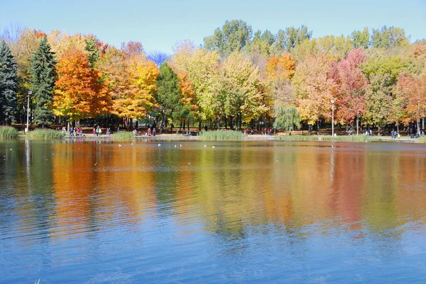 Eine Wunderschöne Herbstlandschaft Mit Wasser Und Bunten Bäumen — Stockfoto