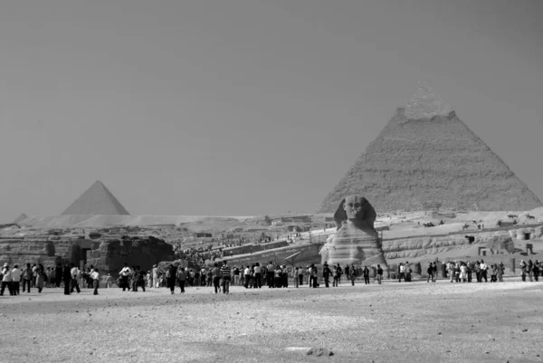 カイロEgypt リクライニングスフィンクスのギザ像の大スフィンクス ライオンの体とギザの人間と大ピラミッドの頭やフフやチープスのピラミッドと神話の生き物 — ストック写真