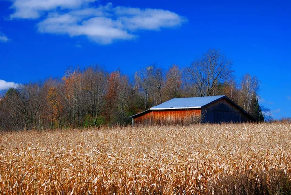 ブロモント カナダの農村風景 — ストック写真