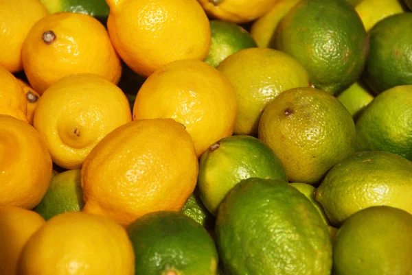 レモン シトラスライモン Citrus Limon アジア原産の開花植物科の小さな常緑樹の一種です — ストック写真