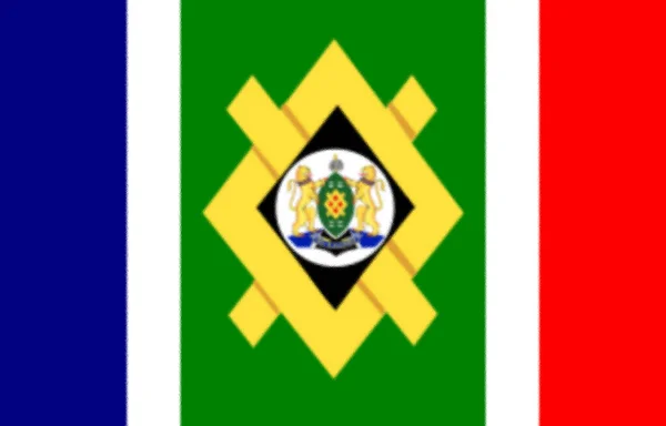 Flagge Vor Johannesburger Hintergrund — Stockfoto