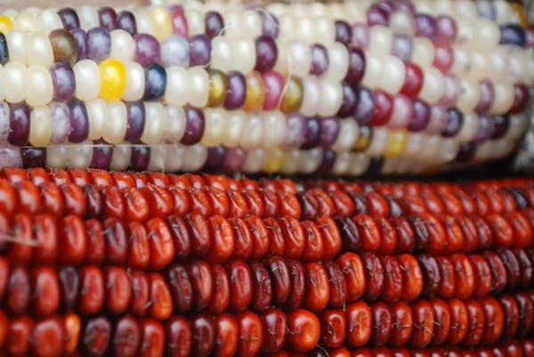 Mais Indiano Essiccato Allegro Colorato Cesto Come Decorazione Tavola Del — Foto Stock