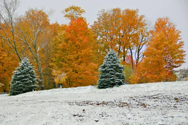 Paisaje Finales Otoño Bromont Municipio Del Este Quebec Canadá —  Fotos de Stock