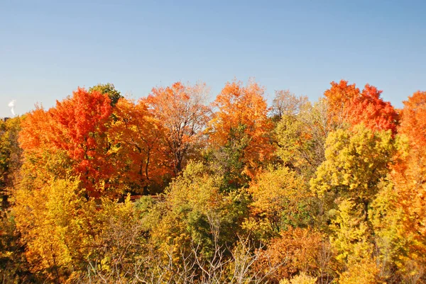 Paisaje Otoñal Parque Jean Drapeau —  Fotos de Stock