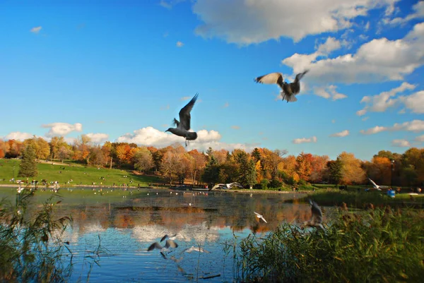 Schöne Herbstlandschaft Mit See Bromont Kanada — Stockfoto