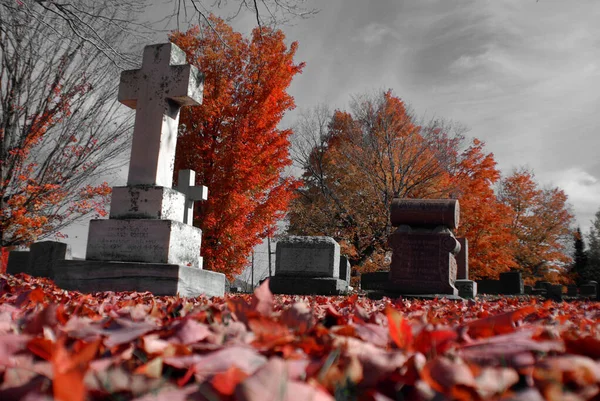 Montreal Canada October 2015 Graves Notre Dame Des Neiges Cemetery — 图库照片