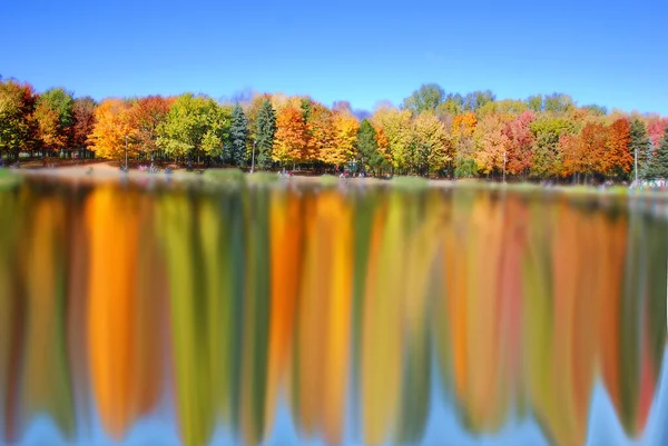 Reflejo Del Paisaje Otoñal Montreal Provincia Quebec Canadá — Foto de Stock