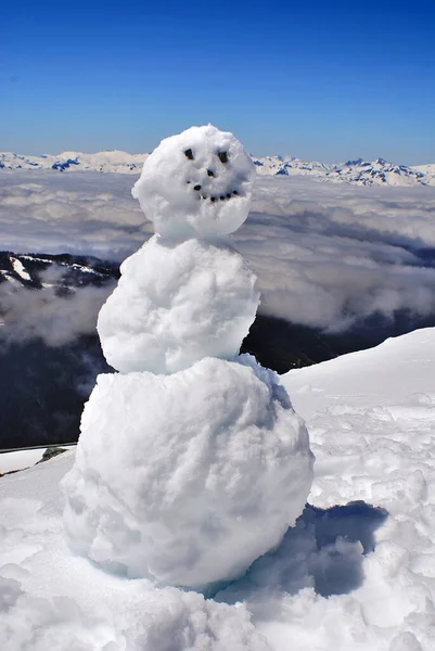 ウィスラー山の雪だるまは ガリバルディ省公園に位置する海岸山脈の太平洋の範囲のフィッツシモンズ山脈にあります ウィスラー ブラックコームスキーリゾートの場所です — ストック写真