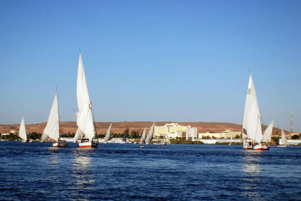 Aswan Egypt Felucca Vitorlák Nílus Folyón Aswan Közelében Egyiptomban Látott — Stock Fotó