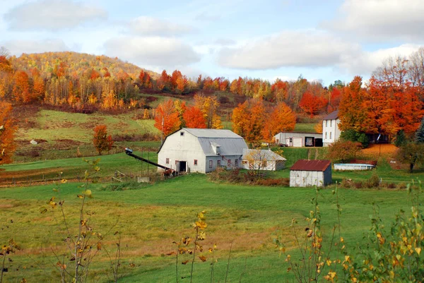 Paysage Rural Bromont Canada — Photo