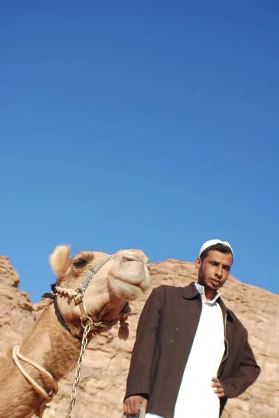 Petra Jordán Nov Hombre Identificado Espera Los Turistas Para Pasear —  Fotos de Stock