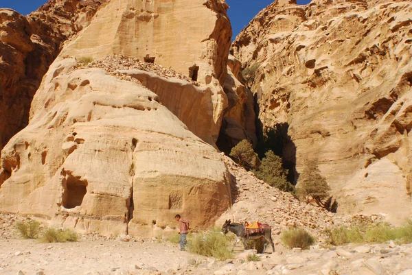 Paysage Montagne Petra Ruine Ville Antique Wadi Musa Jordanie Arabe — Photo