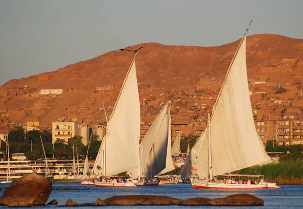 Aswan Egypt Nov Felucca于2010年11月25日在埃及阿斯旺附近的尼罗河上航行 — 图库照片