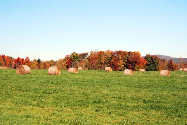 Schöne Herbstlandschaft Bromont Kanada — Stockfoto