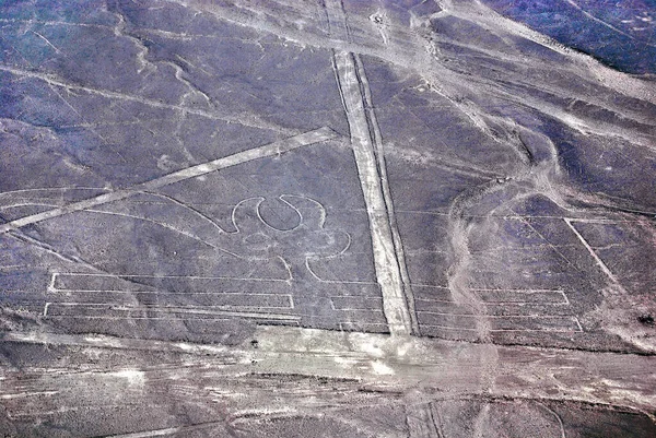 Nazca Lines Ands Peru — Stock Photo, Image