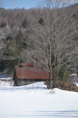 Kış sonu manzarası, Doğu kasabası, Bromont, Quebec, Kanada 