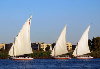 ASWAN EGYPT - 25 NOV: Felucca, MÖ 3350 yılında Mısır 'ın Aswan kenti yakınlarındaki Nil nehrinde yelken açar.