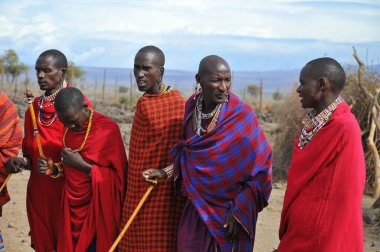 AMBOSELI, KENYA - 13 OCT: Masai kabilesinden tanımlanamayan Afrikalı grup Kenya 'nın Masai Mara kentinde 13 Ekim 2011 tarihinde yapılan geleneksel atlama dansını göstermeye hazırlanıyor. Onlar göçebe ve küçük köylerde yaşıyorlar..