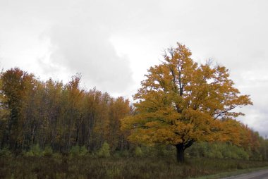 Montreal 'den Jean Drapeau Parc