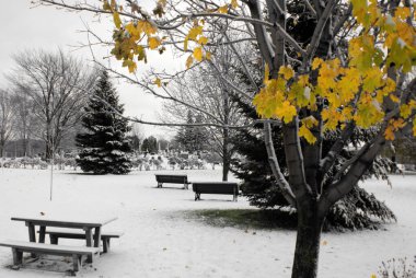 MONTREAL Kanada - 02 16 2021: Noel zamanı. Kar fırtınasından sonraki güneşli bir günde Notre-Dame-des-Neiges Mezarlığı 'ndaki anıt. Kanada 'daki en büyük mezarlık ve Kuzey Amerika' daki en büyük üçüncü mezarlık.
