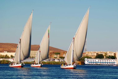 ASWAN EGYPT - 25 NOV: Felucca, MÖ 3350 yılında Mısır 'ın Aswan kenti yakınlarındaki Nil nehrinde yelken açar.