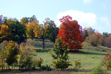 Bromont, Quebec eyaleti, Kanada 'daki doğu kasabalarında sonbahar manzarası 
