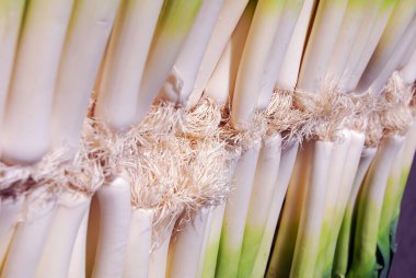 Çiftçi pazarında Parlak Yeşil ve Beyaz Pırasa