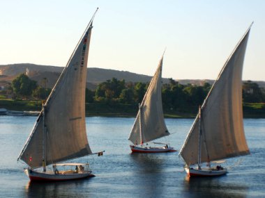 ASWAN EGYPT - 125 08: Felucca, Aswan, Mısır yakınlarındaki Nil nehri üzerinde yelken açıyor. Bugün görülen dostlar MÖ 3350 yılında icat edildi.