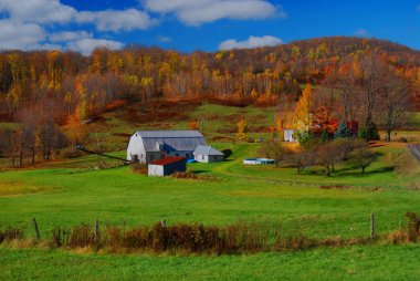 Bromont Quebec, Kanada 'da sonbaharda çiftlik