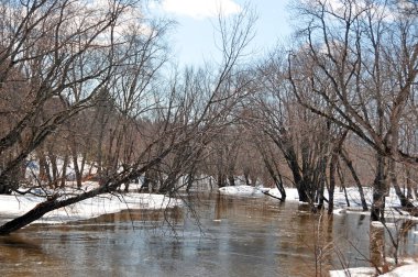 Erken bahar manzarası, Doğu kasabası, Bromont, Quebec, Kanada  