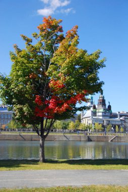 MONTREAL, QUEBEC, CANADA - 10 2010: Arka planda eski Montreal ile Parc Jean Drapeau 'dan sonbahar manzarası 