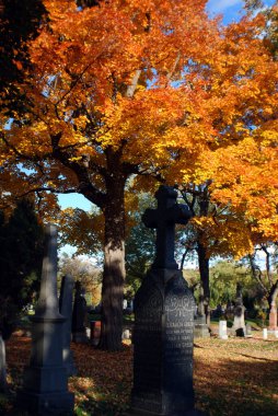 MONTREAL CANADA - 11 Ekim 2015: Renkli sonbahar ağaçlı Notre-Dame-des-Neiges Mezarlığı. Kanada 'daki en büyük mezarlık ve Kuzey Amerika' daki en büyük üçüncü mezarlık.   