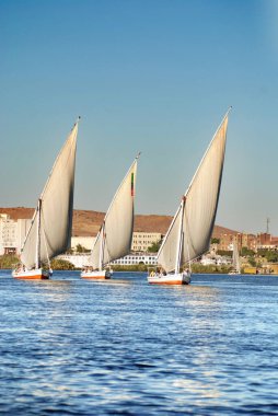 ASWAN EGYPT - 125 08: Felucca, Aswan, Mısır yakınlarındaki Nil nehri üzerinde yelken açıyor. Bugün görülen dostlar MÖ 3350 yılında icat edildi.