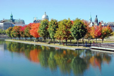 MONTREAL, QUEBEC, CANADA - 10 2010: Arka planda eski Montreal ile Parc Jean Drapeau 'dan sonbahar manzarası 