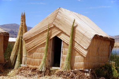 Titicaca Gölü, And Dağları 'nda Peru ve Bolivya sınırında yer alan bir göldür. Deniz seviyesinden 3,811 metre (12,500 feet) yükseklikte göl, dünyanın en yüksek ticari seyir edilebilir gölü olarak kayıtlara geçmiştir.