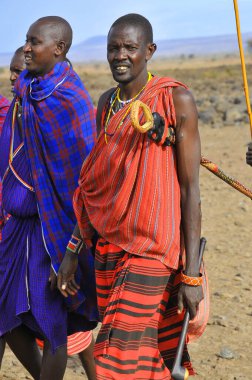 Masai kabilesinden kimliği belirsiz Afrikalı bir grup, 13 Ekim 2011 'de Kenya' nın Masai Mara kentinde düzenlenen geleneksel atlama dansını göstermeye hazırlanıyor. Onlar göçebe ve küçük köylerde yaşıyorlar..