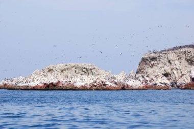 Ballestas Adaları, Peru 'nun güney kıyısında, Pisco Bölgesi' nin Paracas ilçesi içinde yer alan bir grup küçük adadır..