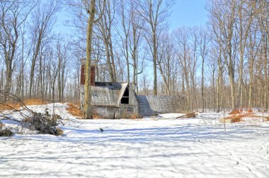 Quebec, Kanada 'da bahar mevsimi boyunca güzel ve yaşlanmış şeker kulübesi