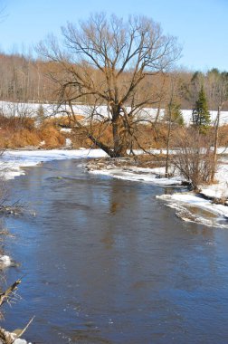 Erken bahar manzarası, Doğu kasabası, Bromont, Quebec, Kanada   