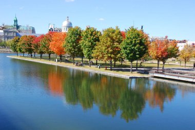 MONTREAL, QUEBEC, CANADA - 10 2010: Arka planda eski Montreal ile Parc Jean Drapeau 'dan sonbahar manzarası