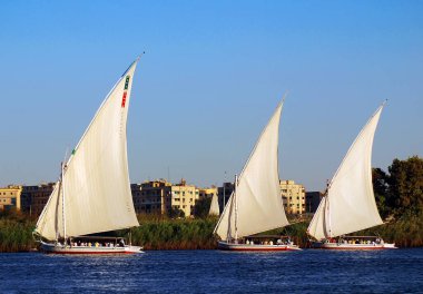 ASWAN EGYPT - 125 08: Felucca, Aswan, Mısır yakınlarındaki Nil nehri üzerinde yelken açıyor. Bugün görülen dostlar MÖ 3350 yılında icat edildi.
