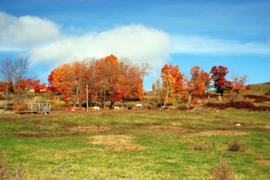 Bromont, Kanada 'da güzel bir sonbahar manzarası
