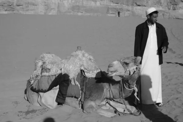 Petra Jordão Nov Homem Não Identificado Aguarda Turistas Para Passear — Fotografia de Stock