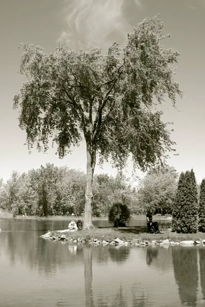 Hermosa Vista Del Lago Parque — Foto de Stock